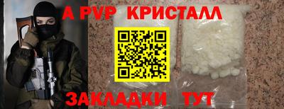 гашик Шелехов