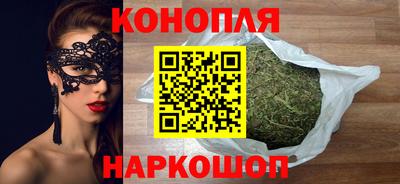 гашик Шелехов