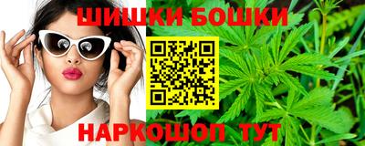 гашик Шелехов