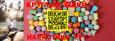 гашик Шелехов