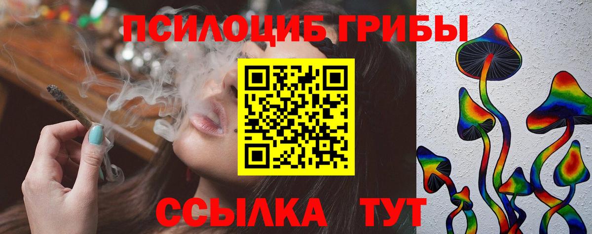 Ефремов  Галлюциногенные грибы GOLDEN TEACHER  Вход с VPN 