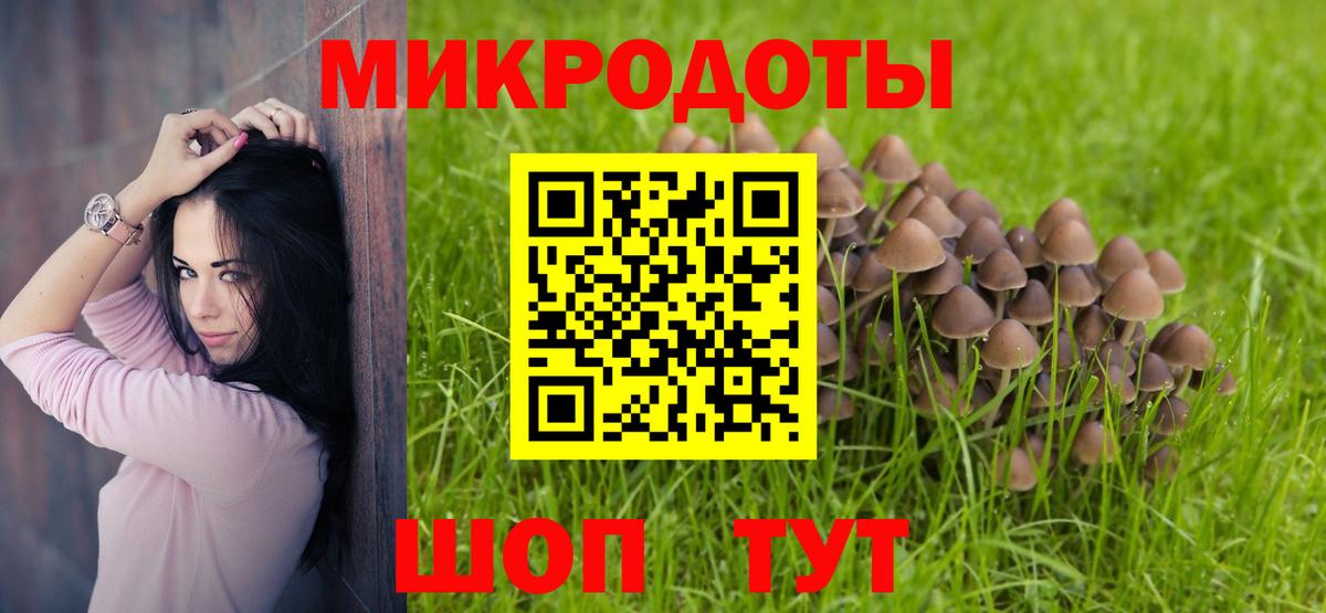 Псилоцибиновые грибы GOLDEN TEACHER Ефремов